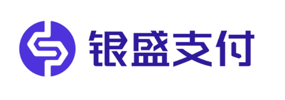 银盛支付官网:把握时代脉搏,共赢行业未来